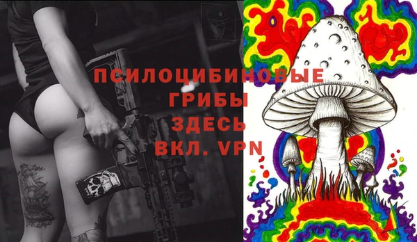 гидра Дмитриев
