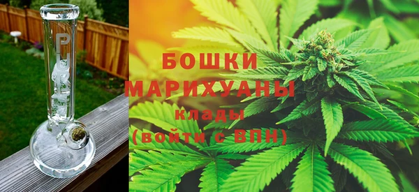 гидра Дмитриев